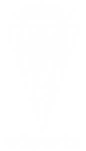 Córdoba Club de Fútbol Esports